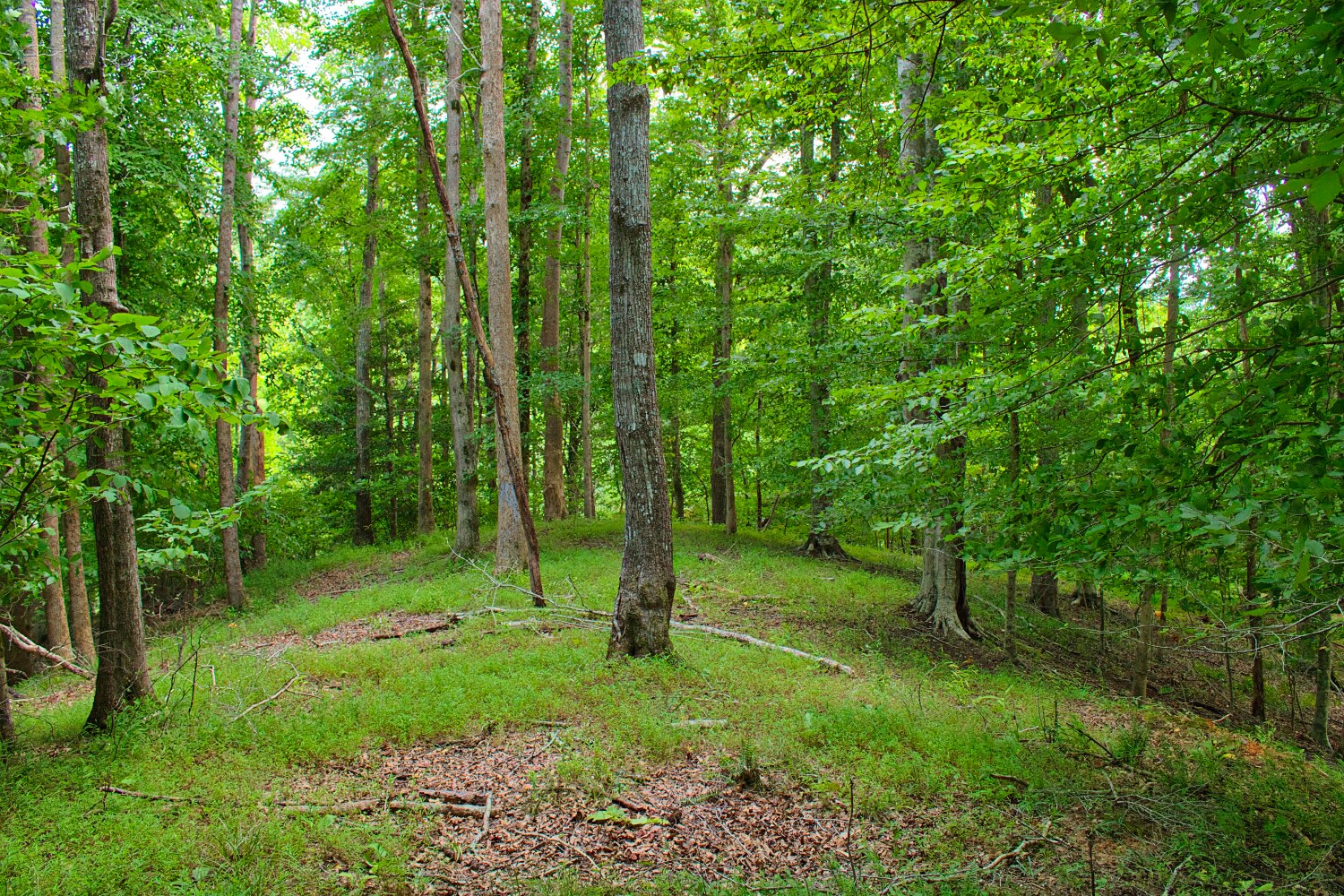 Clearwater Creek Lot 136