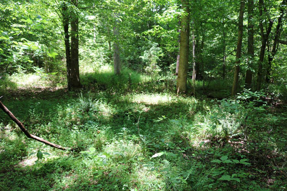 water frontage with near-level acreage in Clearwater Creek