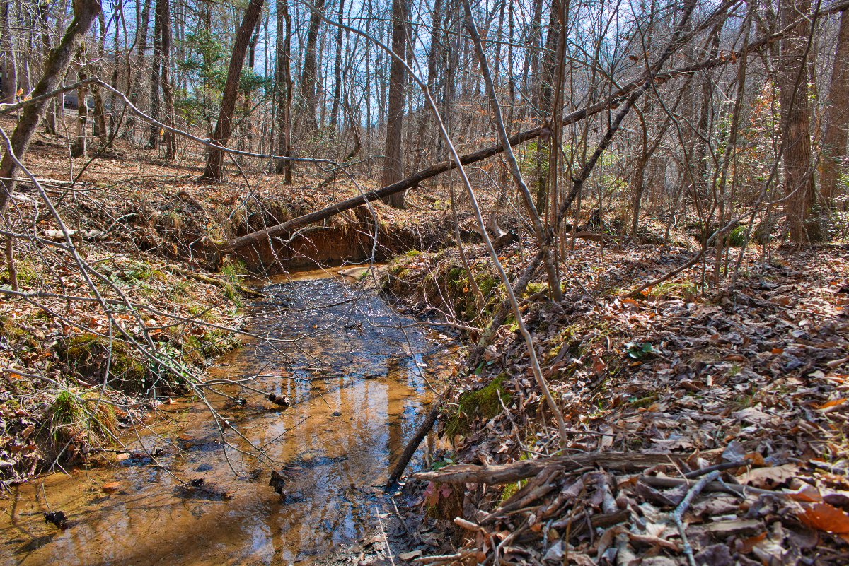 water frontage in Clearwater Creek