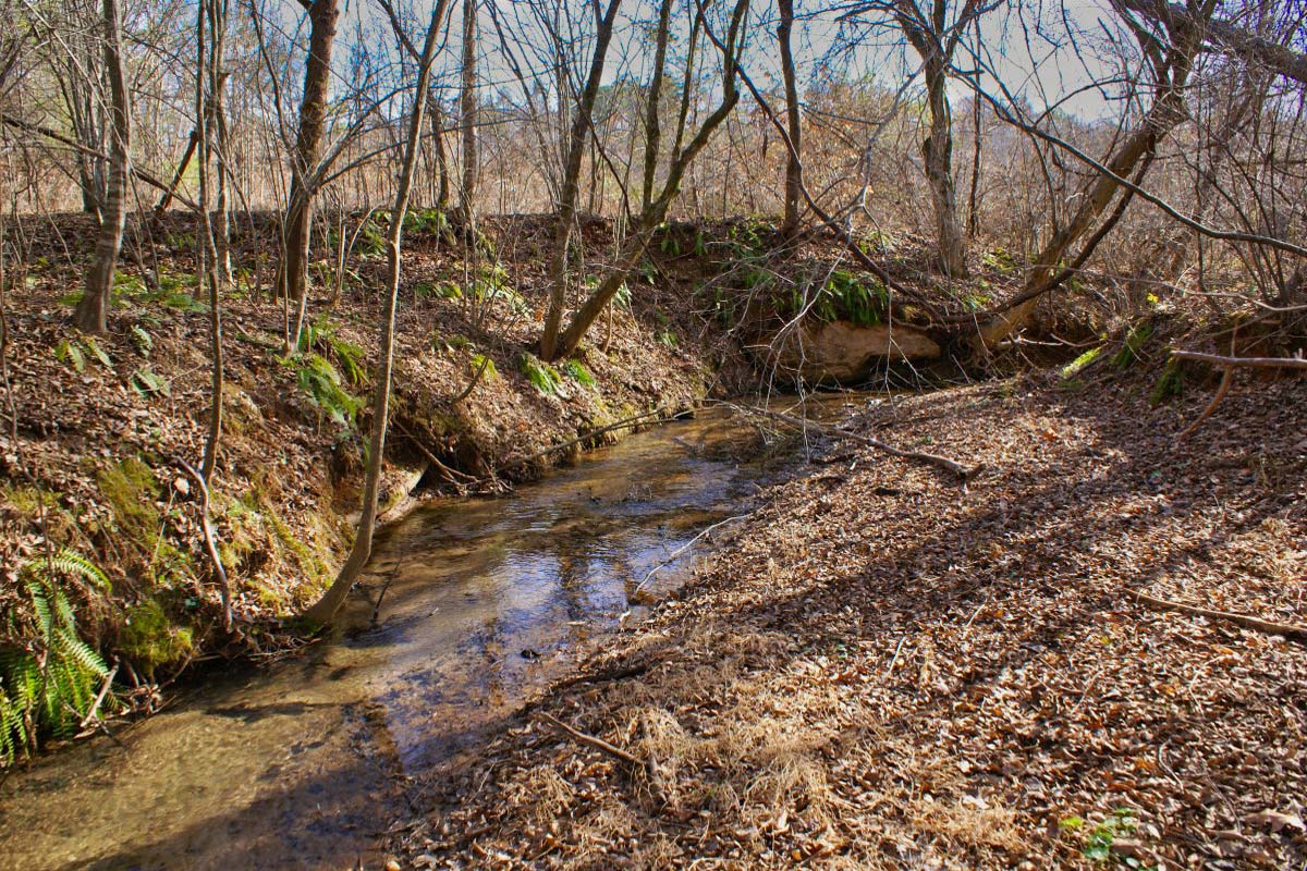 water frontage in Clearwater Creek