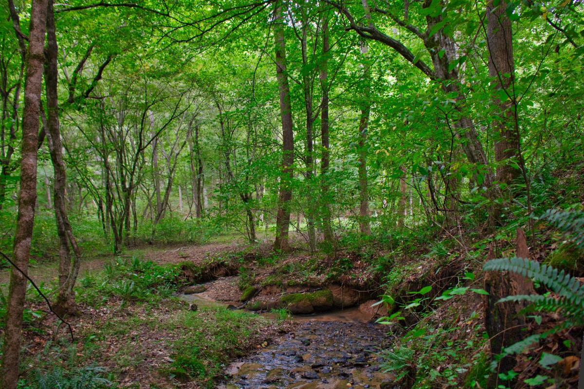 water frontage in Clearwater Creek