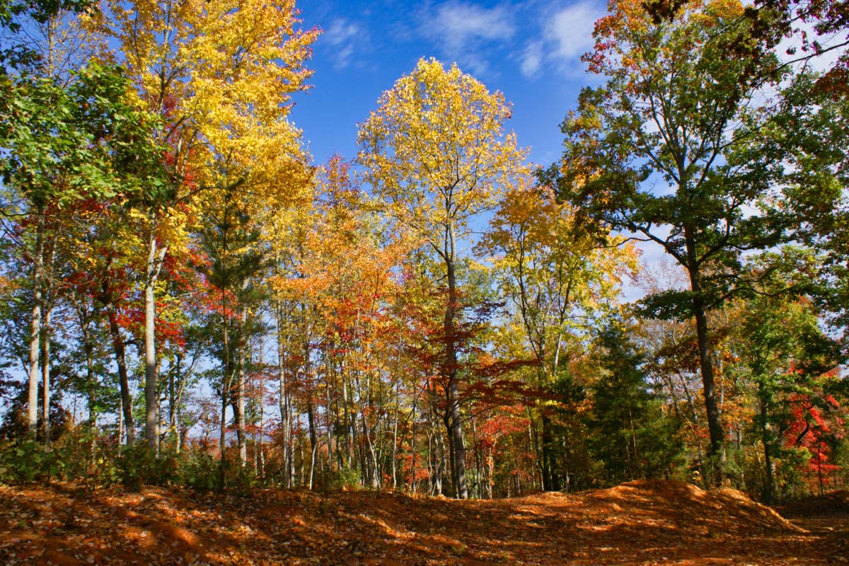 Hearthstone Ridge, Union Mills, NC