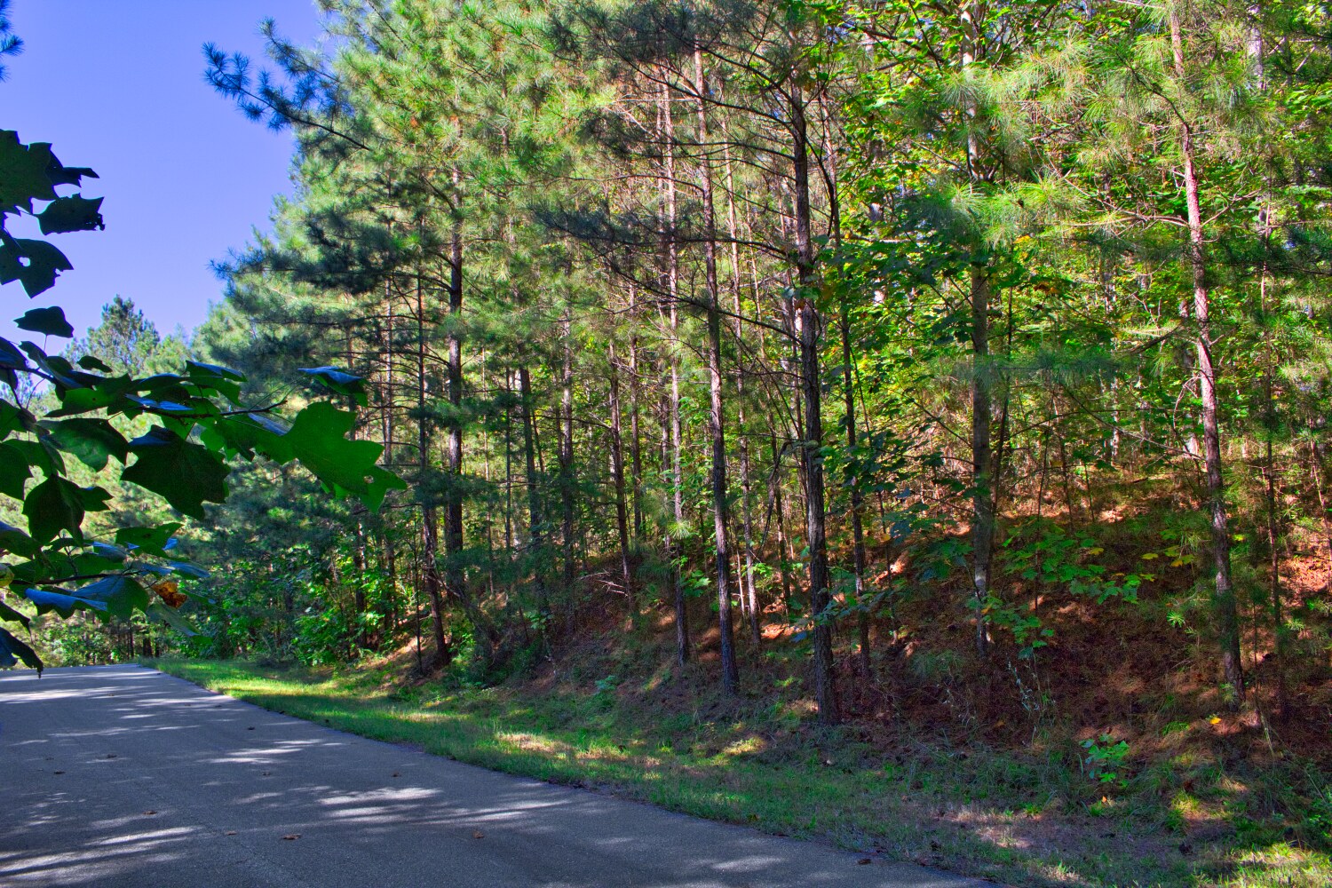 MLS# 4428936 | 1.19 acres in Hearthstone Ridge