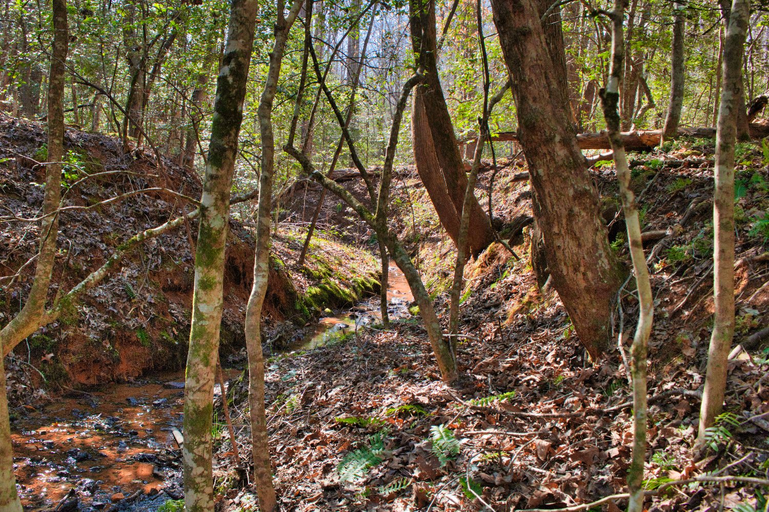 Stream frontage wooded land in Hearthstone Ridge