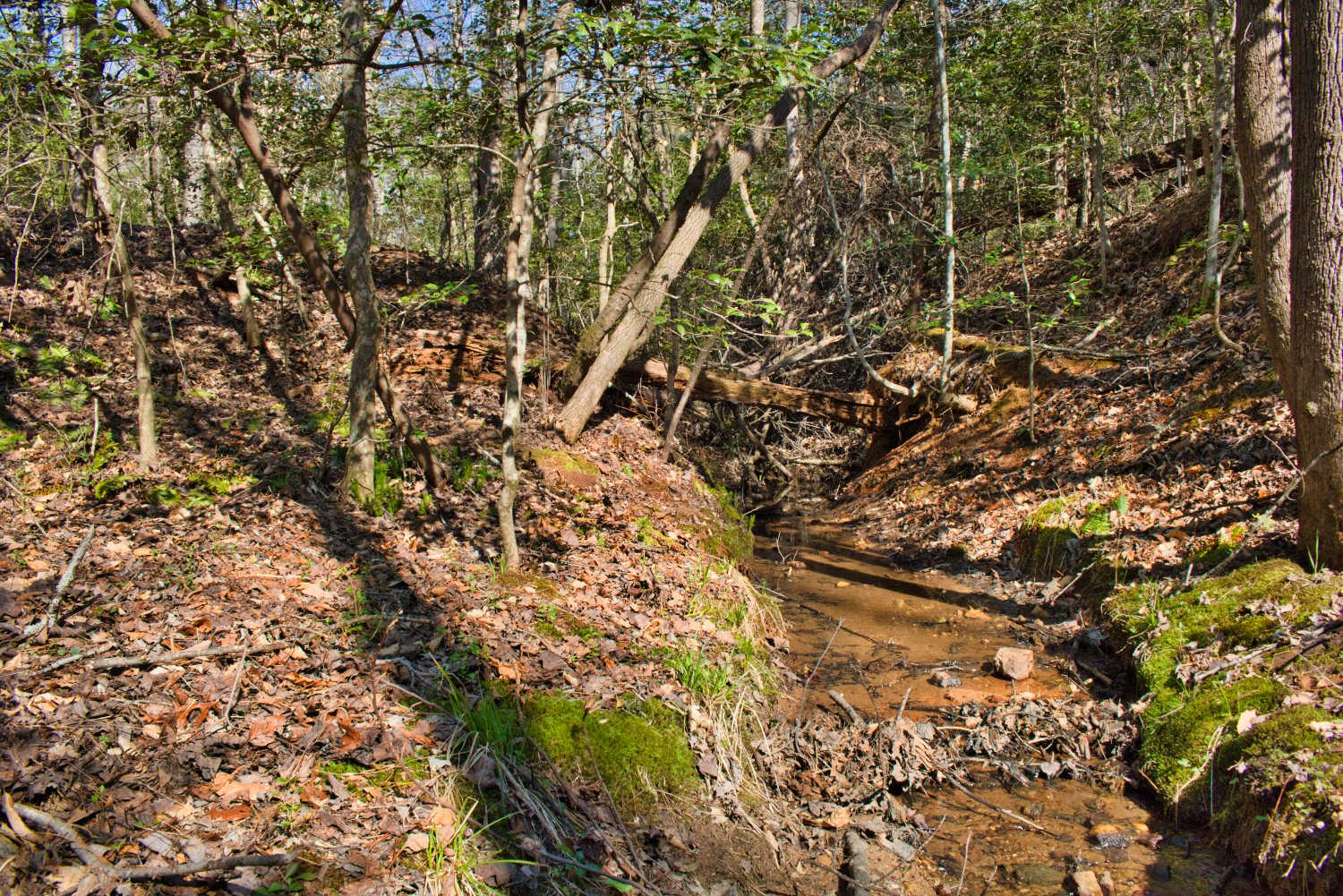 Stream frontage wooded land in Hearthstone Ridge