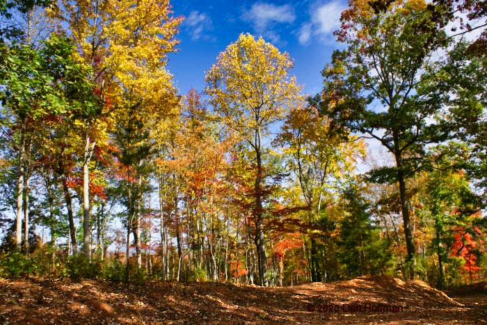 Hearthstone Ridge, Union Mills, NC