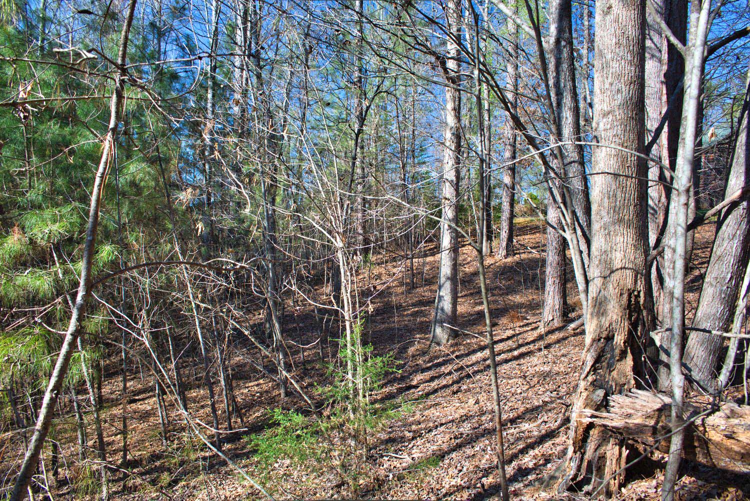 MLS #4352251 Wooded parcel in Hearthstone Ridge