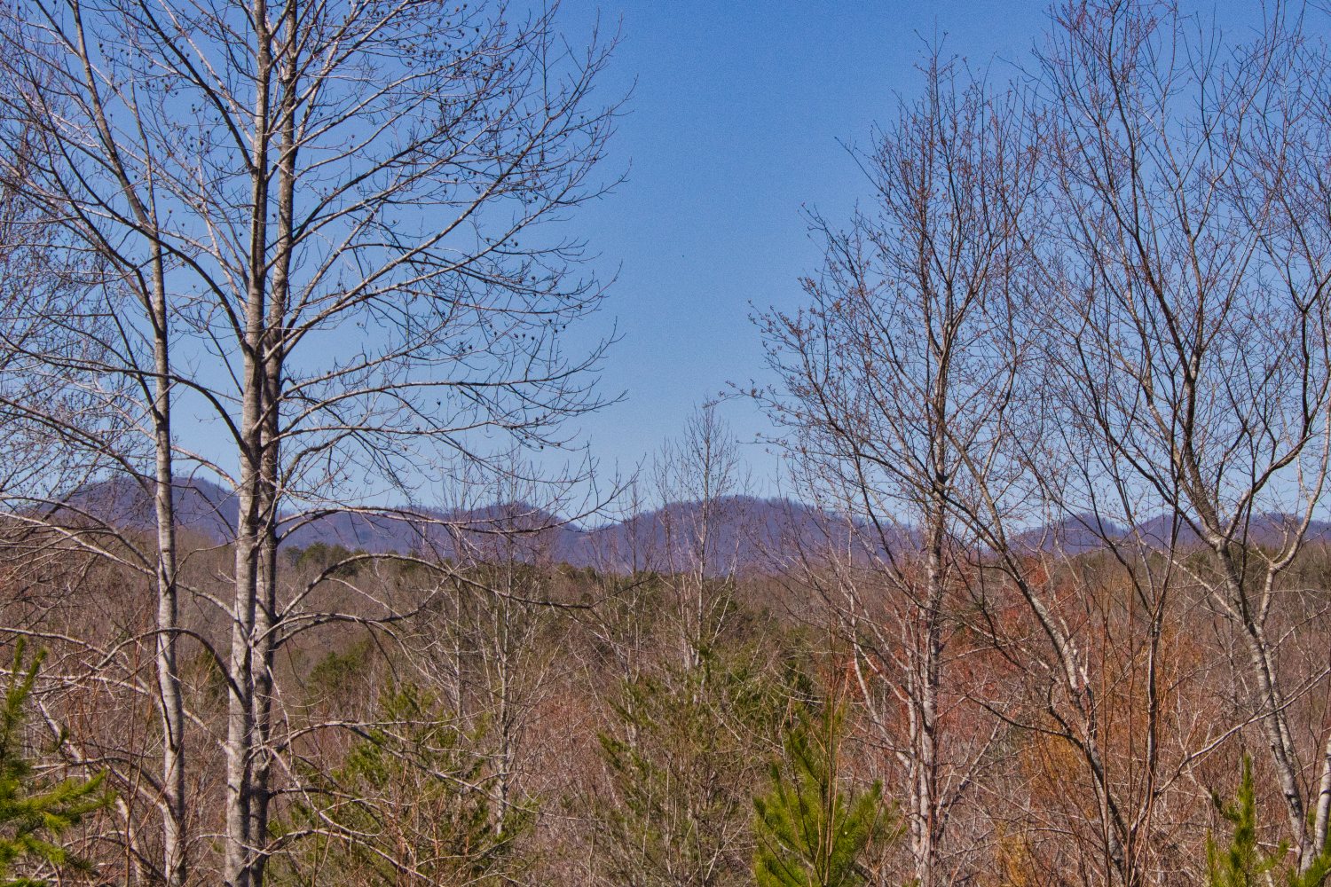 MLS #4233605 | 176 Mystic Ridge, Union Mills, NC