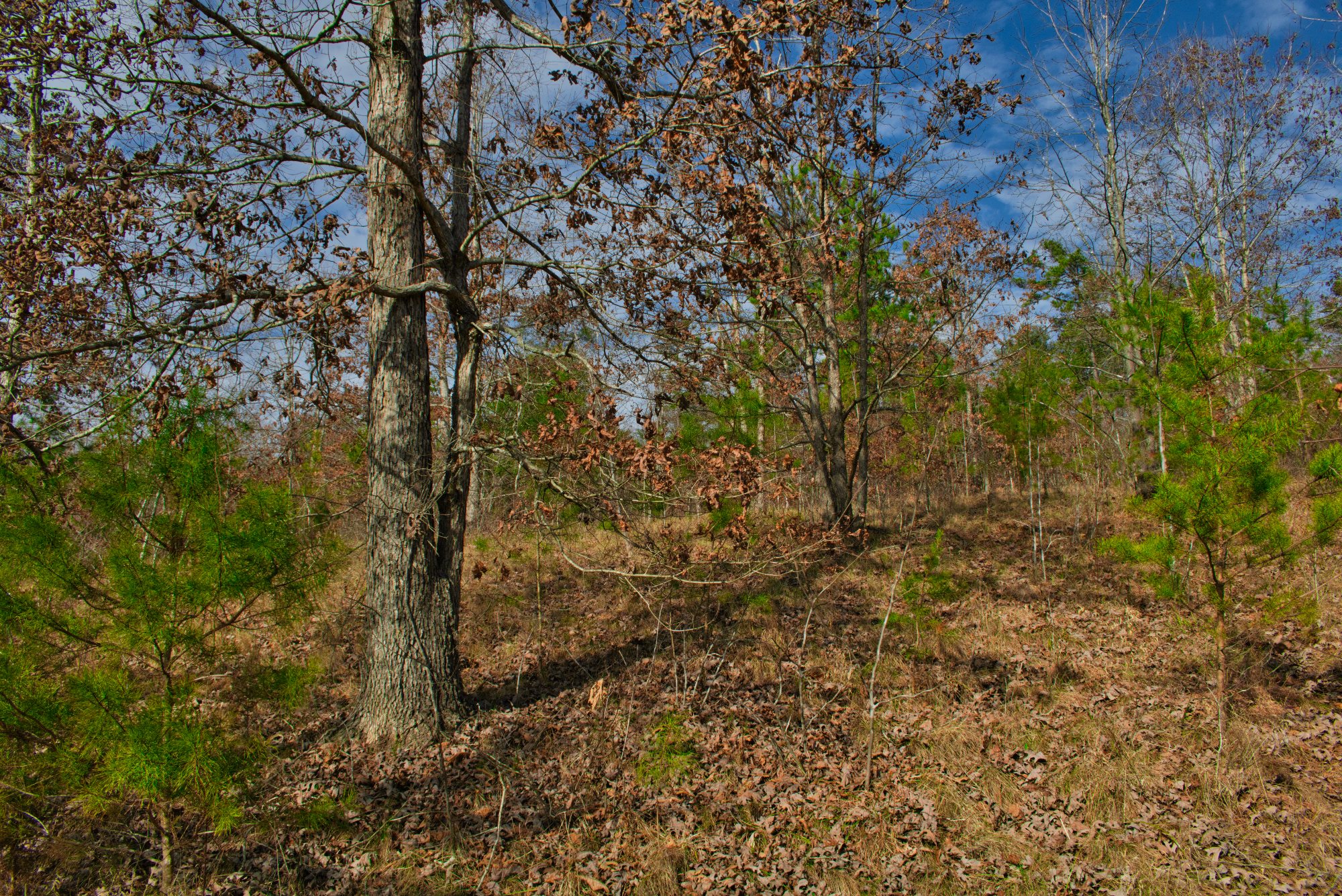 Hearthstone Ridge, Union Mills, NC