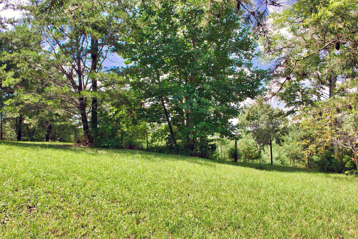 MLS #4281948 | 654 Moonlight Pass, Union Mills, NC