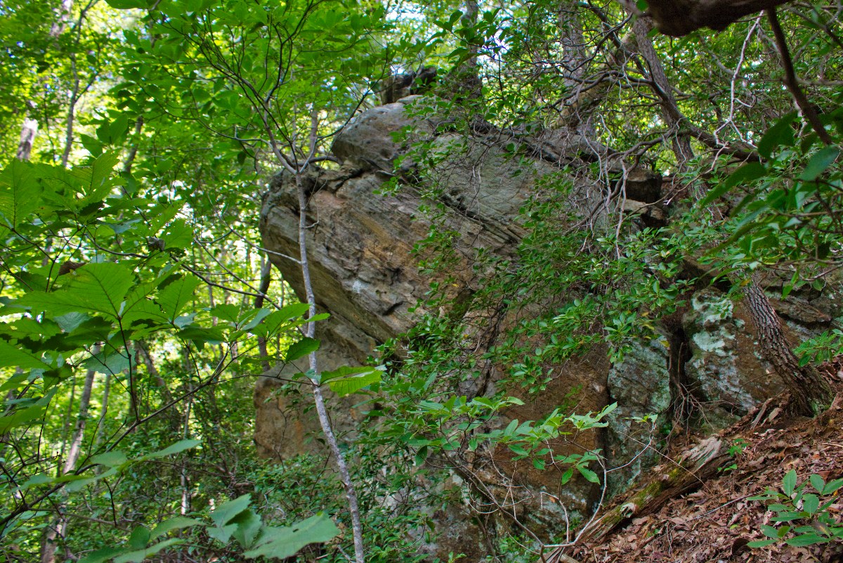 huge boulders on 3.9 acre mountain lot