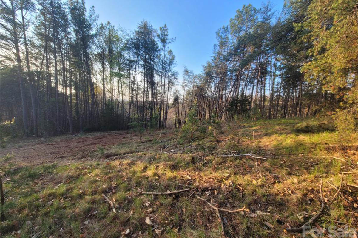 Lot 59 on Cozy Lane in The Peaks at Lake Lure