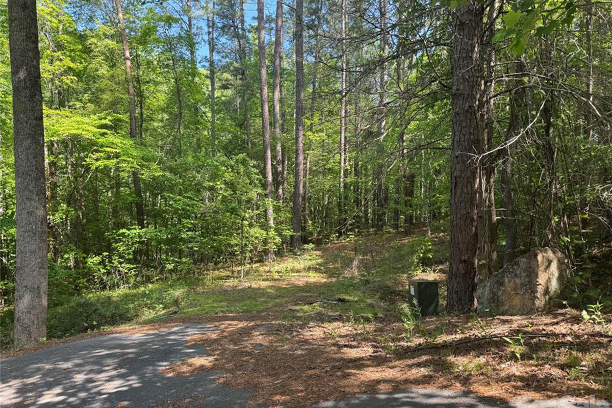 level, wooded land in The Peaks at Lake Lure