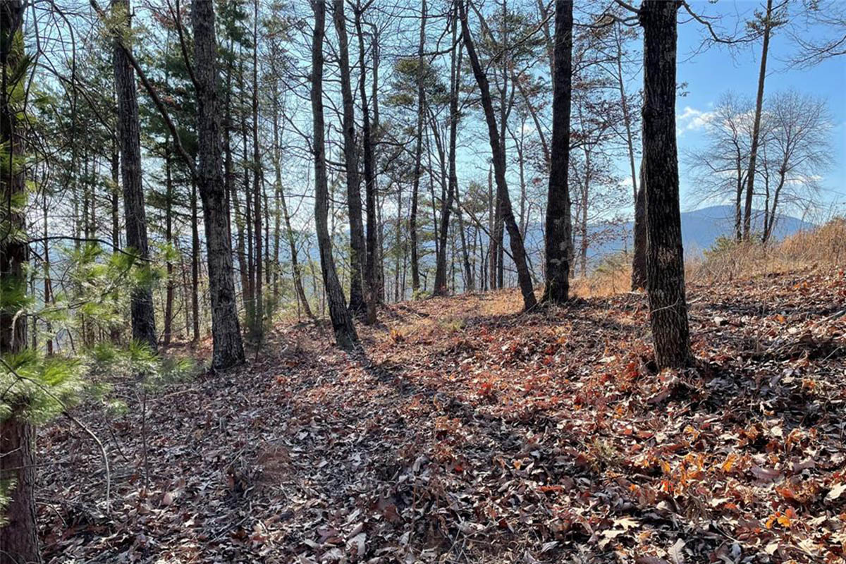 level, wooded land in The Peaks at Lake Lure