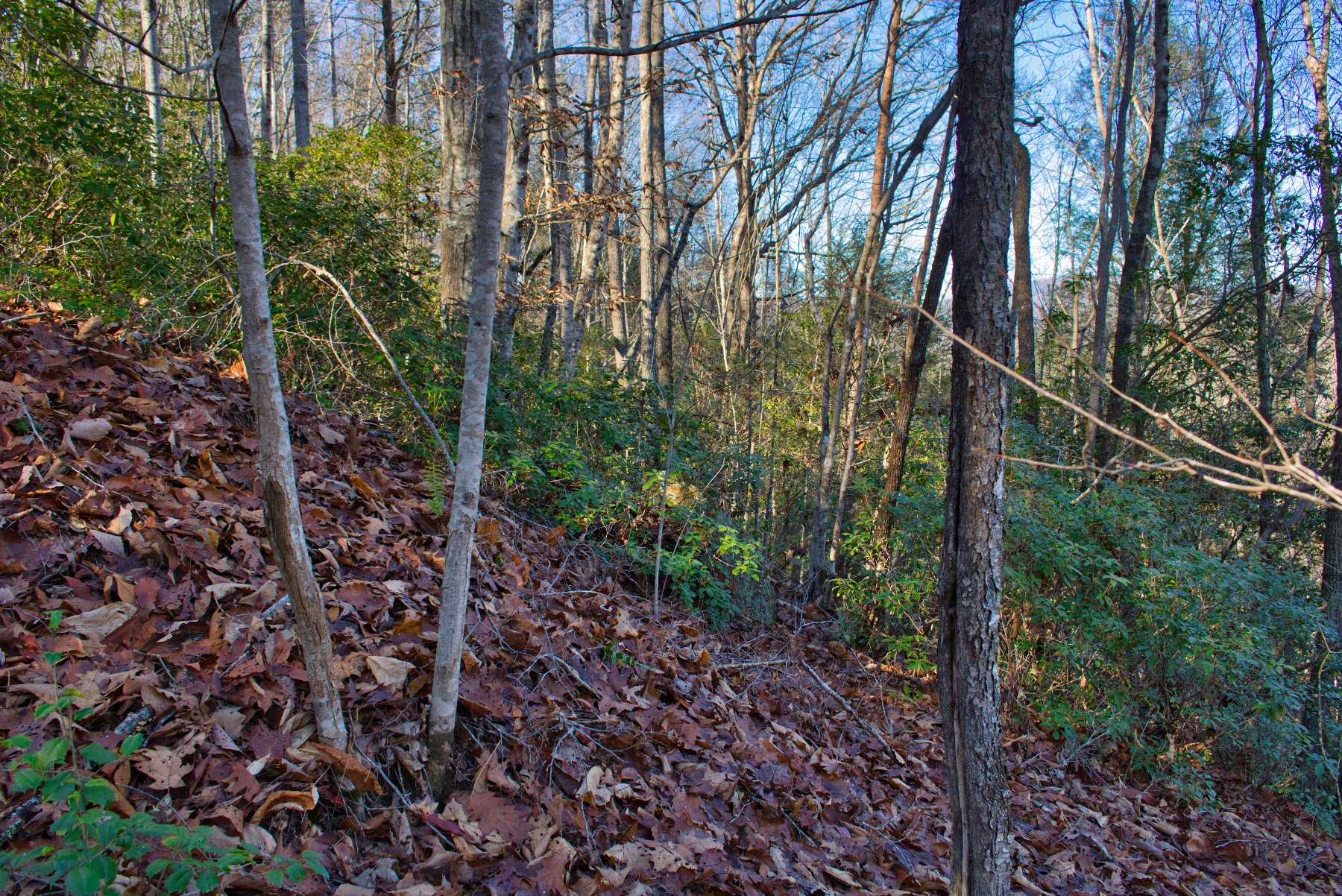 Level land on Westridge Dr, Lake Lure, NC