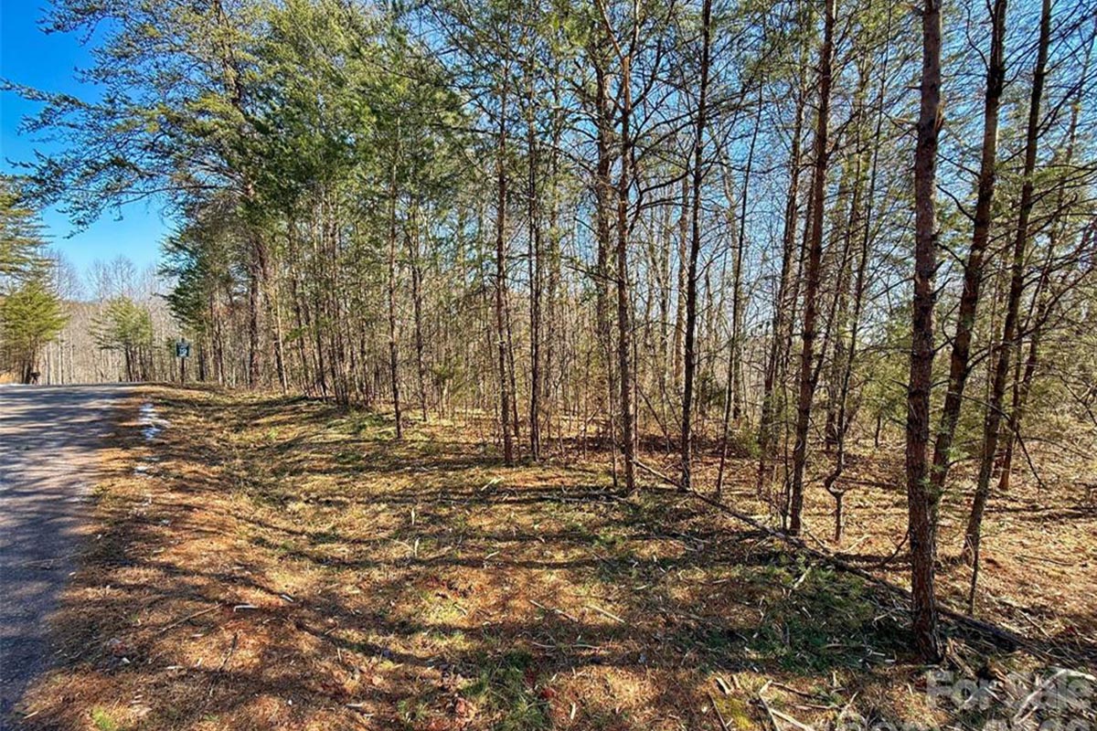 MLS 4345877 - large parcel of land on Westridge Dr in Lake Lure, NC